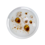 Plastic Party / Picnic Plate 22cm - BPA Free